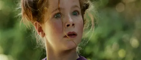 Le renard et l'enfant/The Fox & the Child (2007)