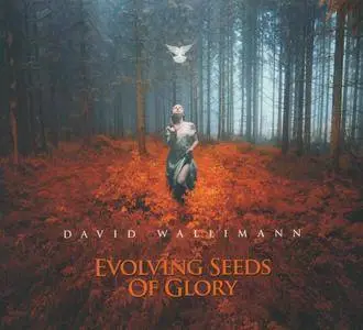 David Wallimann - Evolving Seeds Of Glory (2016)