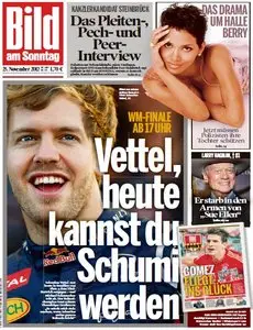 Bild am Sonntag, 25. November 2012