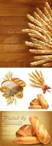 Bread & Wheat Ears Vector