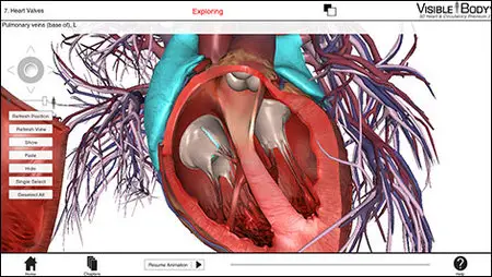 Visible Body Heart and Circulatory Premium v2.0.0