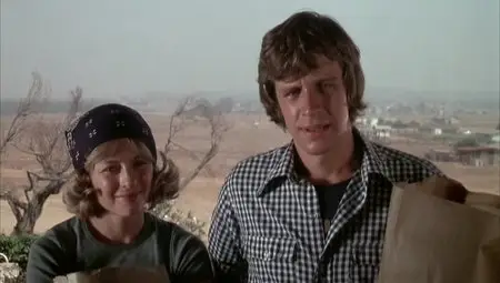 Bug (1975)