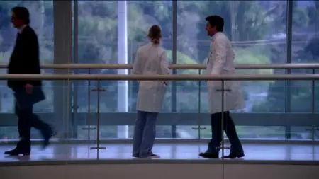 Grey's Anatomy S06E20
