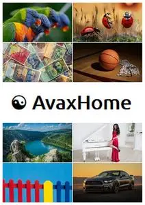 AvaxHome Wallpapers Part 71