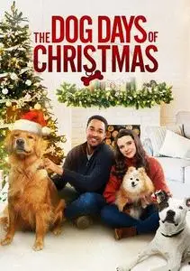 Sit. Stay. Love. / The Dog Days of Christmas (2021)