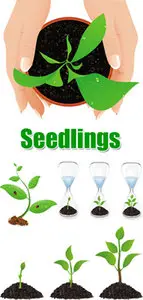  Seedlings Vector