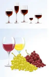 Wine and Grapes Vector