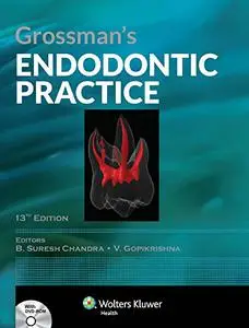 Grossman's endodontic practice (Repost)