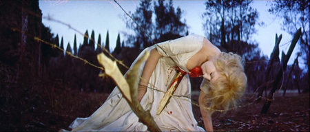 Blood and Roses / Et mourir de plaisir (1960)