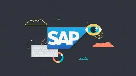 SAP Business One B1 Complete Training With Implementation