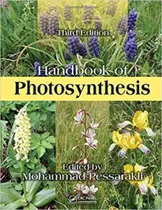 Handbook of photosynthesis (Repost)