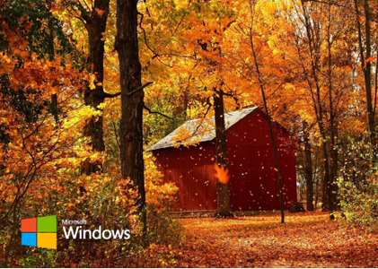 Windows 10, version bundle * Build 190xx.1288 Business & Consumer edition
