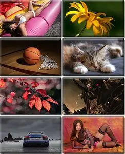 LIFEstyle News MiXture Images. Wallpapers Part (531)