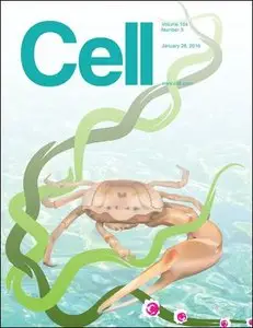Cell - 26 January 2016
