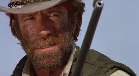 Lone Wolf McQuade (1983)