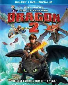 How to Train Your Dragon 2 (2014)