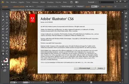 Adobe Creative Suite CS6 Design & Web Premium LS16