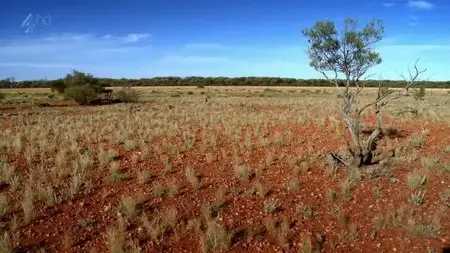 CH4 Inside Nature's Giants - Kangaroo (2012)