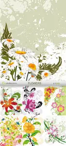Amazing SS - Flowers