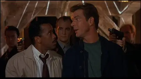 Undercover Blues (1993)