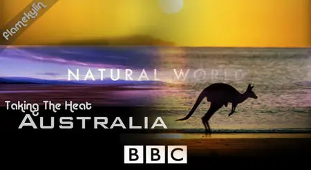 BBC Natural World - Australia: Taking The Heat (2008)