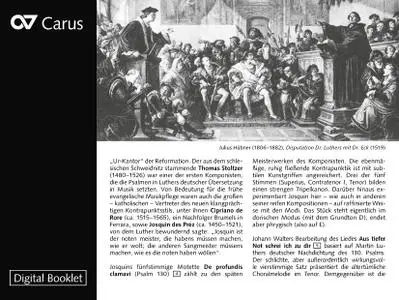 Calmus Ensemble & Amarcord - Leipziger Disputation - Antoine Brumel, Josquin Des Prez, Nicolas Gombert, etc al. (2019) {Carus}