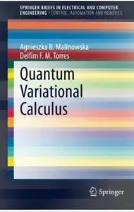 Quantum Variational Calculus [Repost]