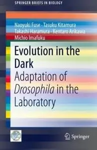 Evolution in the Dark: Adaptation of Drosophila in the Laboratory (repost)