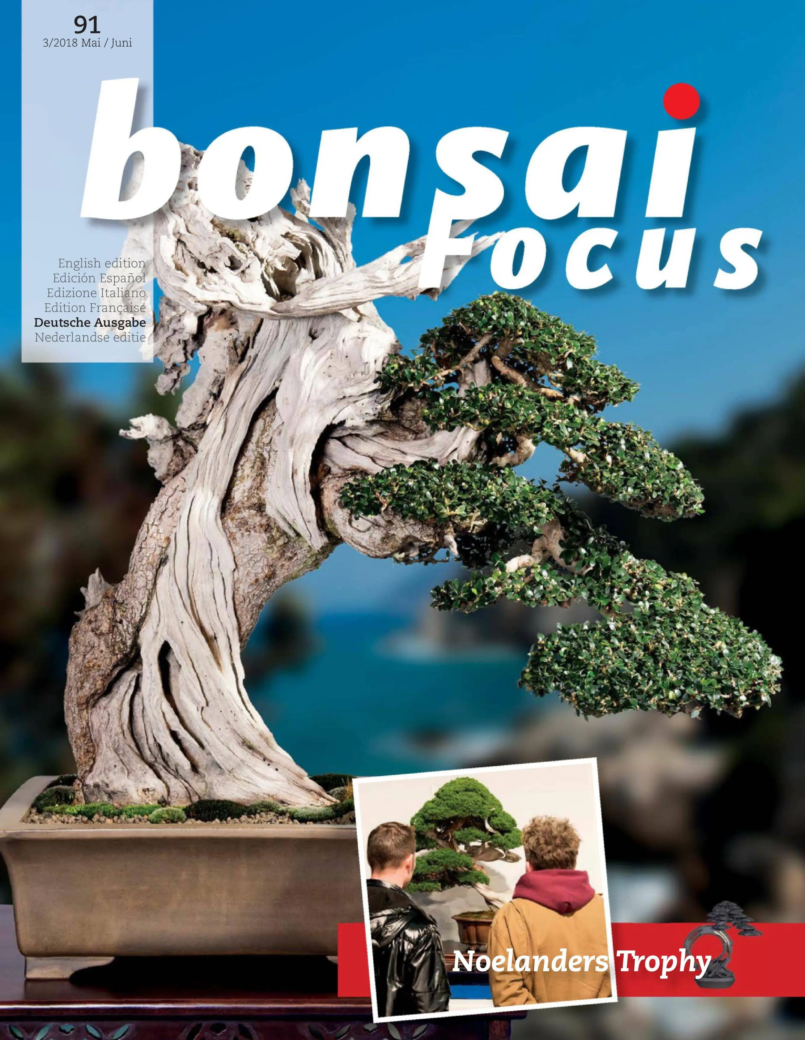 Bonsai Focus (German Edition) - Mai/Juni 2018
