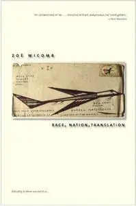 Race, Nation, Translation: South African Essays, 1990-2013