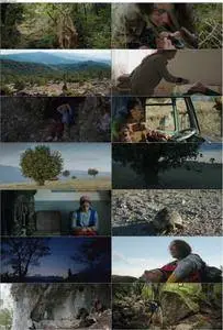 Jîn (2013) Jin