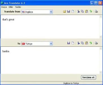 Ace Translator 8.3.0.500 Multilanguage Portable