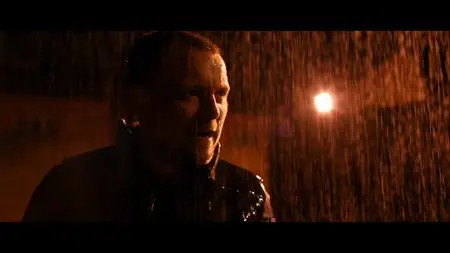 The Rise (2012)