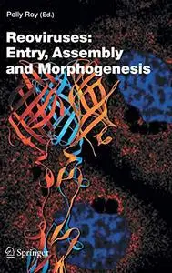 Reoviruses: Entry, Assembly and Morphogenesis