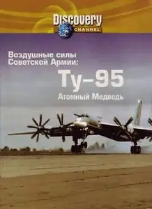 DC Wings - Tu-95 - The Nuclear Bear (1993)