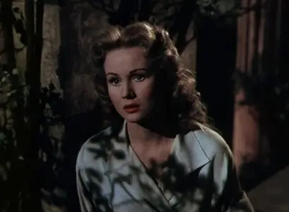 The Flame and the Arrow (1950)