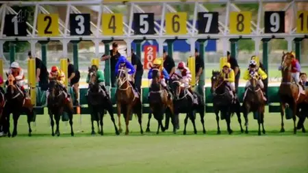 CH4 Inside Nature's Giants - Racehorse (2011)