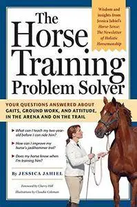 The Horse Training Problem Solver