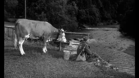La vache et le prisonnier (1959)