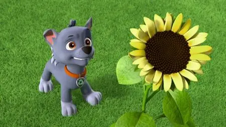 Paw Patrol S06E09