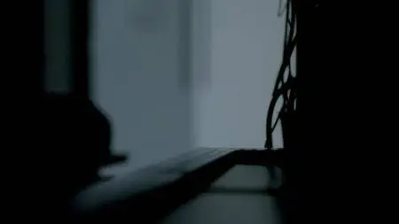 Obesity: The Post Mortem (2016)