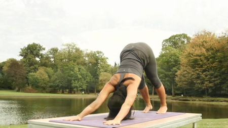 Elements of Yoga - Tara Lee