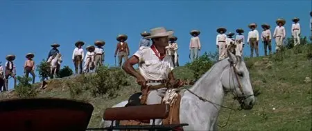 The Last of the Fast Guns (1958)