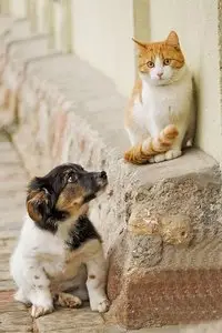 World In Photo 243