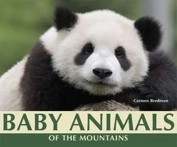 «Baby Animals of the Mountains» by Carmen Bredeson