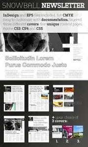 GraphicRiver Snowball Newsletter Template
