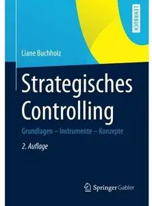 Strategisches Controlling: Grundlagen - Instrumente - Konzepte (Auflage: 2)
