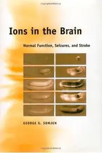 Ions in the Brain: Normal Function, Seizures, and Stroke