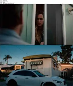 The Cleaner (2021)