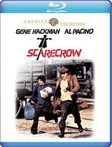 Scarecrow (1973)